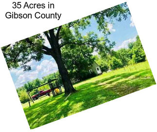 35 Acres in Gibson County