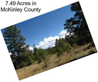 7.49 Acres in McKinley County