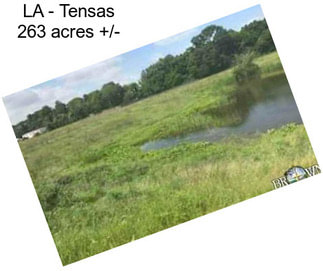 LA - Tensas 263 acres +/-