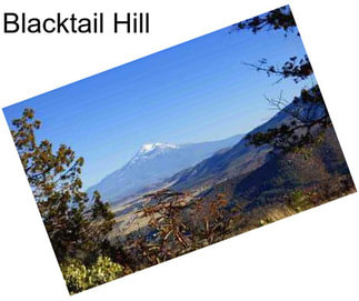 Blacktail Hill