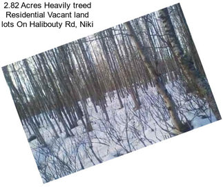 2.82 Acres Heavily treed Residential Vacant land lots On Halibouty Rd, Niki