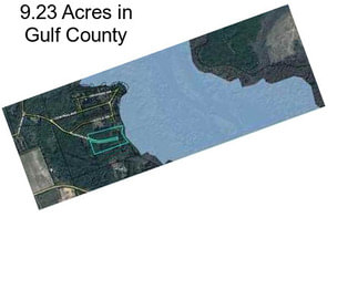 9.23 Acres in Gulf County