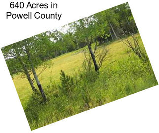 640 Acres in Powell County