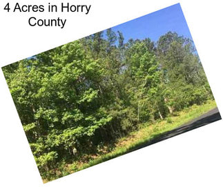 4 Acres in Horry County