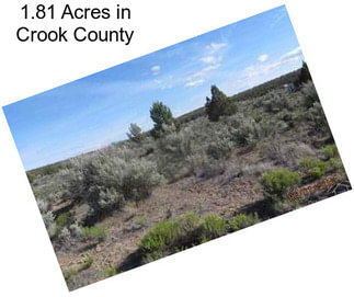 1.81 Acres in Crook County