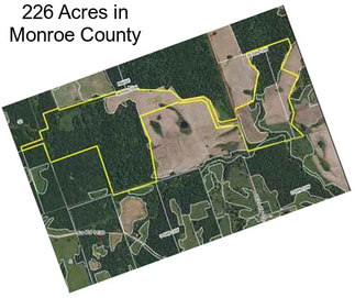 226 Acres in Monroe County