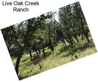 Live Oak Creek Ranch