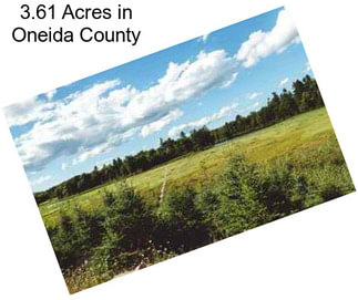 3.61 Acres in Oneida County