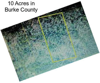 10 Acres in Burke County