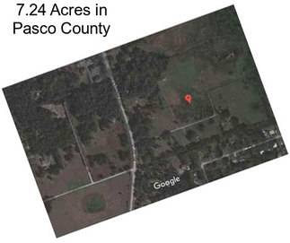 7.24 Acres in Pasco County