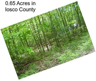 0.65 Acres in Iosco County