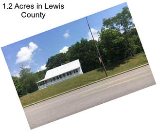 1.2 Acres in Lewis County