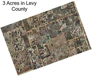 3 Acres in Levy County