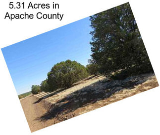 5.31 Acres in Apache County