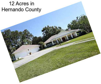 12 Acres in Hernando County