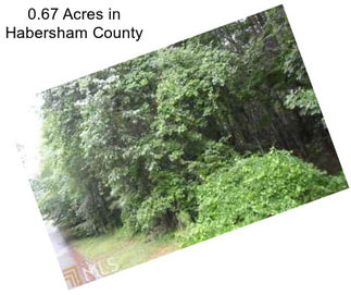 0.67 Acres in Habersham County