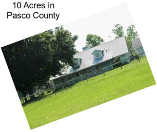 10 Acres in Pasco County