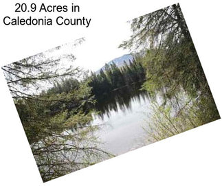 20.9 Acres in Caledonia County