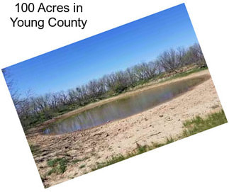 100 Acres in Young County