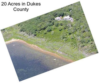 20 Acres in Dukes County