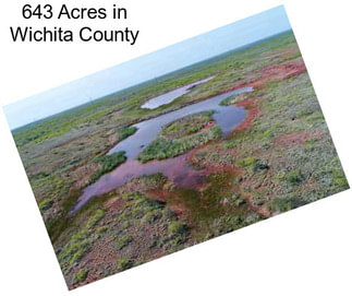 643 Acres in Wichita County