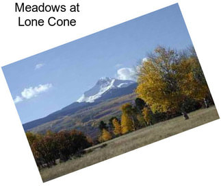 Meadows at Lone Cone
