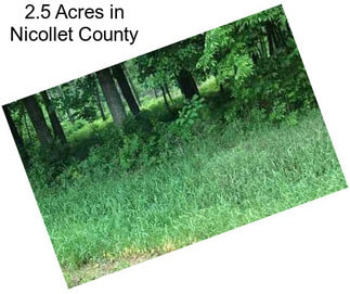 2.5 Acres in Nicollet County