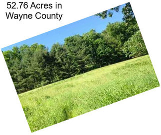 52.76 Acres in Wayne County