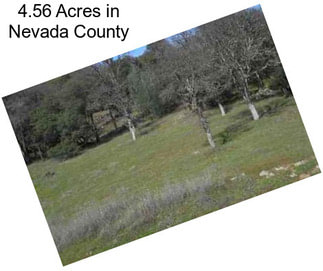 4.56 Acres in Nevada County