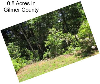 0.8 Acres in Gilmer County