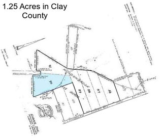 1.25 Acres in Clay County
