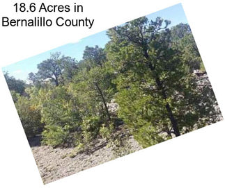 18.6 Acres in Bernalillo County