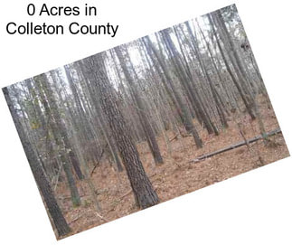 0 Acres in Colleton County