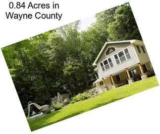 0.84 Acres in Wayne County