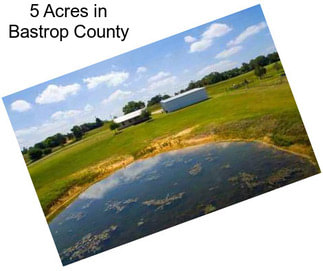 5 Acres in Bastrop County