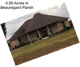 0.95 Acres in Beauregard Parish