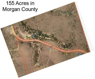 155 Acres in Morgan County