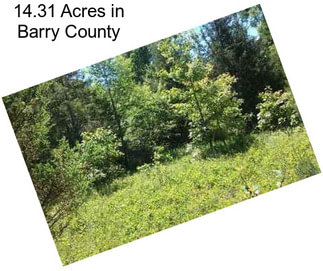 14.31 Acres in Barry County
