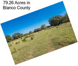 79.26 Acres in Blanco County