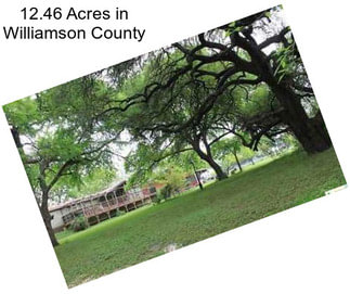 12.46 Acres in Williamson County