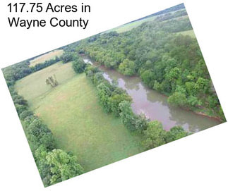117.75 Acres in Wayne County
