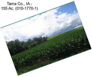 Tama Co., IA - 155 Ac. (010-1770-1)