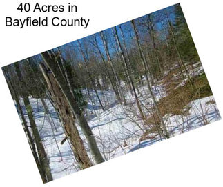 40 Acres in Bayfield County