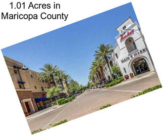 1.01 Acres in Maricopa County