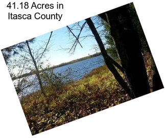 41.18 Acres in Itasca County