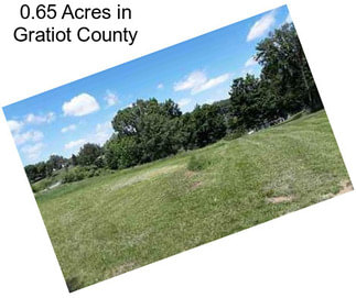 0.65 Acres in Gratiot County