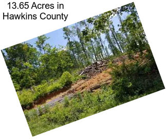 13.65 Acres in Hawkins County