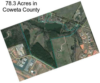 78.3 Acres in Coweta County