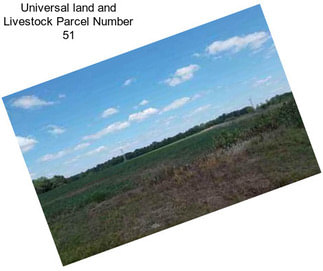 Universal land and Livestock Parcel Number 51