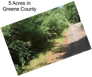 5 Acres in Greene County